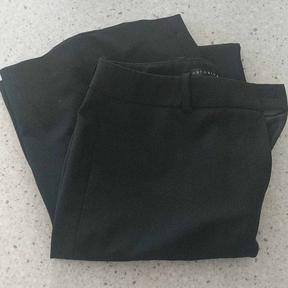 New Without Tags - Antonio Melani Dress Pants